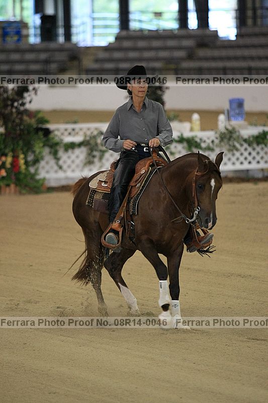 Proof 08r14-0046
