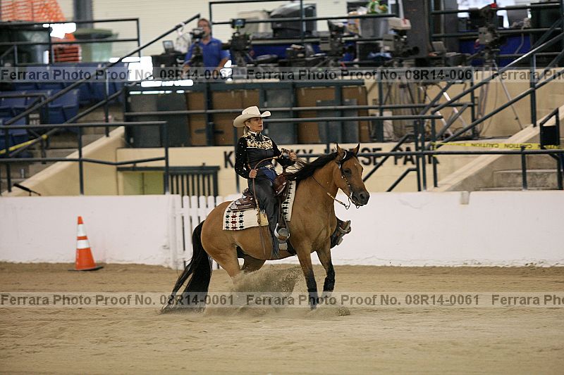 Proof 08r14-0061