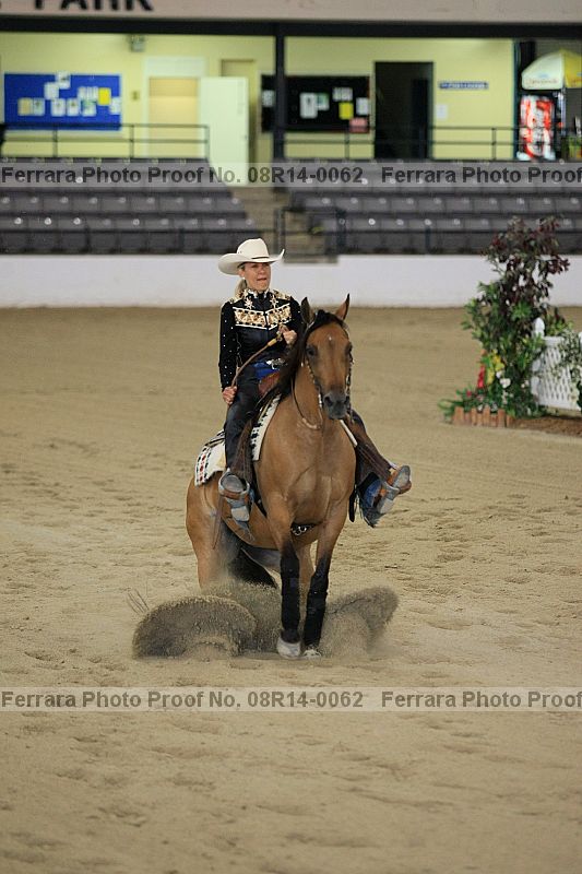 Proof 08r14-0062
