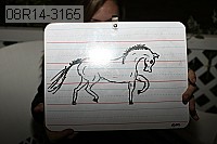 08r14-3165 proof