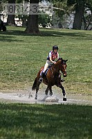 08r14-3264 proof