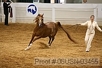 08usn-03455 proof