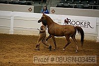 08usn-03456 proof