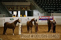 08usn-03463 proof