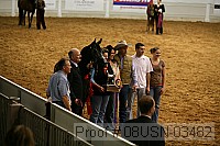 08usn-03482 proof