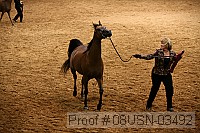 08usn-03492 proof