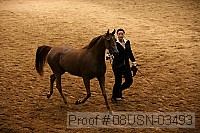 08usn-03493 proof