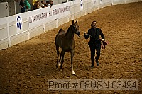 08usn-03494 proof