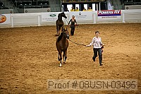 08usn-03495 proof