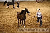 08usn-03496 proof
