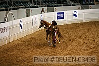 08usn-03498 proof