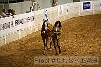 08usn-03499 proof