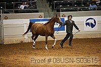 08usn-s03615 proof