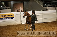 08usn-s03616 proof