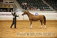 08usn-s03618 proof