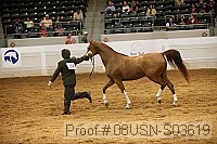 08usn-s03619 proof