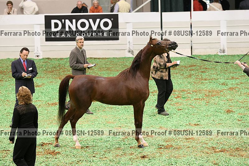 Proof 08usn-12589
