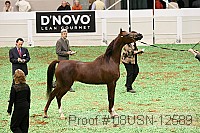 08usn-12589 proof