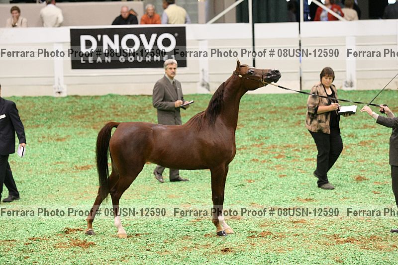 Proof 08usn-12590