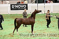08usn-12590 proof