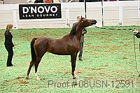 08usn-12591 proof
