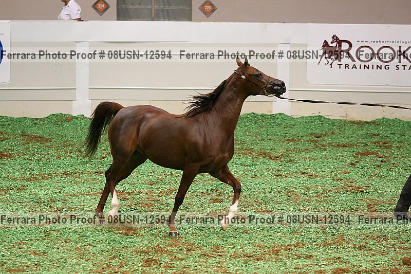 Proof 08usn-12594