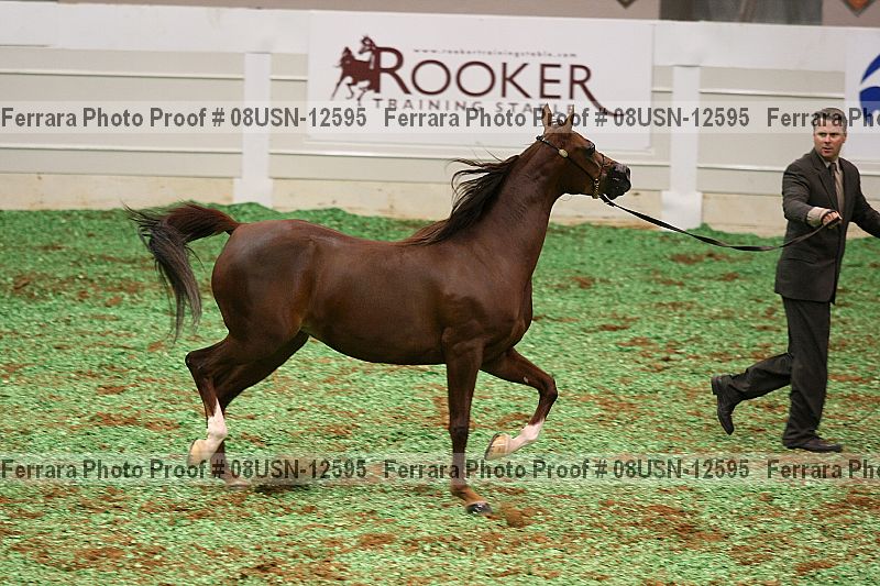 Proof 08usn-12595