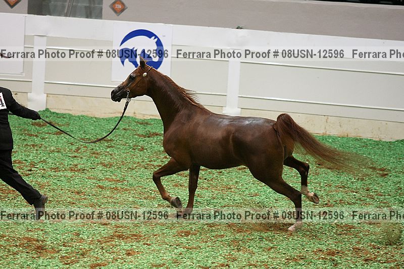 Proof 08usn-12596
