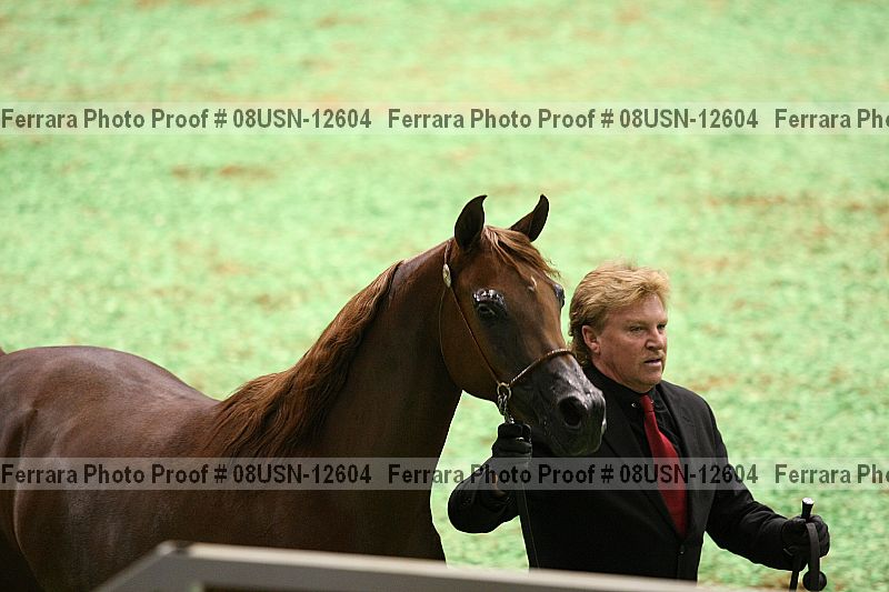 Proof 08usn-12604