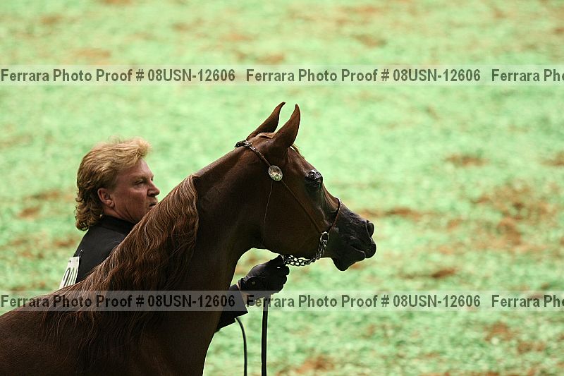 Proof 08usn-12606