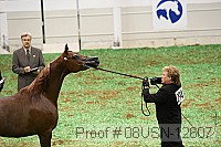 08usn-12607 proof