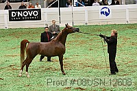 08usn-12608 proof
