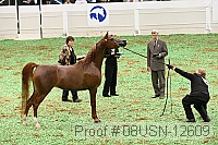 08usn-12609 proof