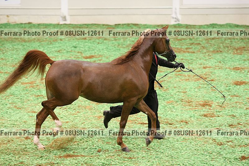 Proof 08usn-12611