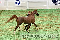 08usn-12612 proof