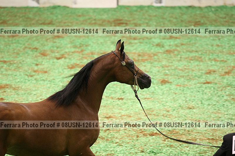 Proof 08usn-12614