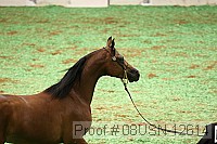 08usn-12614 proof