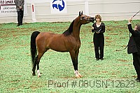 08usn-12623 proof