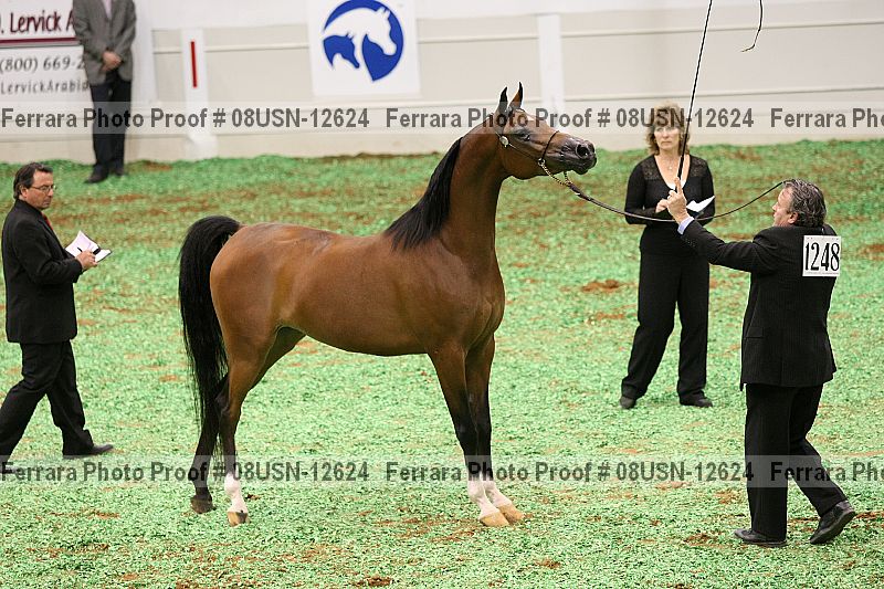 Proof 08usn-12624