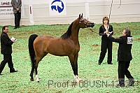 08usn-12624 proof