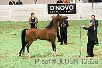 08usn-12626 proof