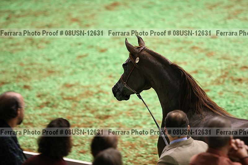 Proof 08usn-12631