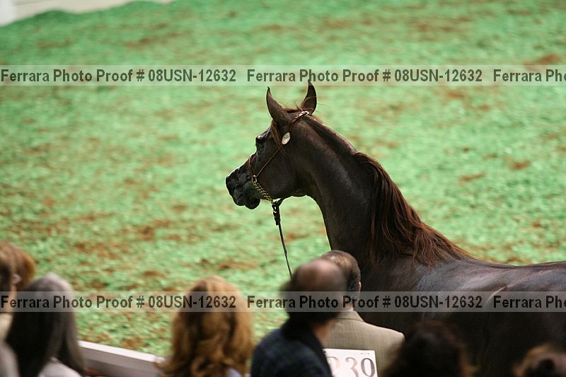 Proof 08usn-12632