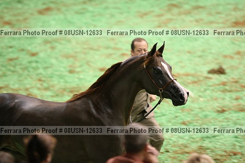 Proof 08usn-12633