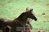 08usn-12633 proof