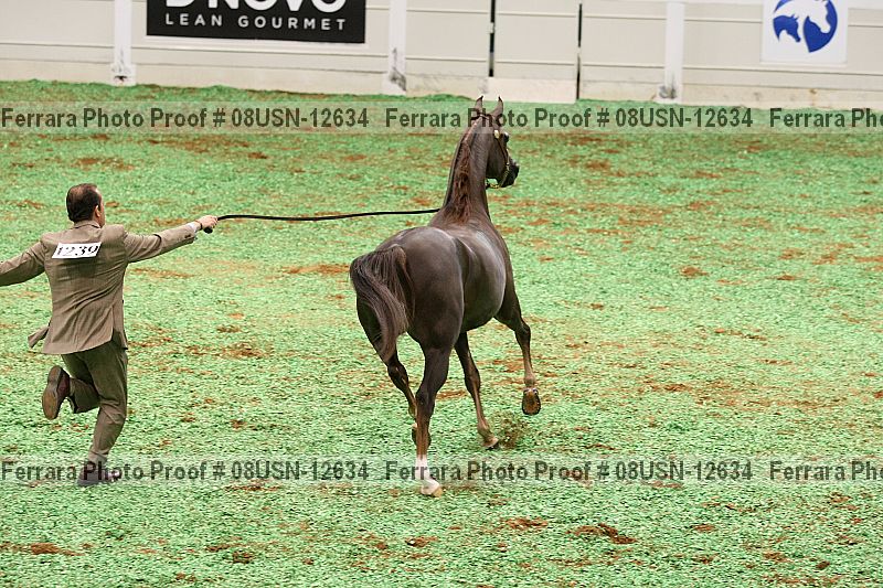 Proof 08usn-12634