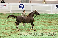08usn-12636 proof