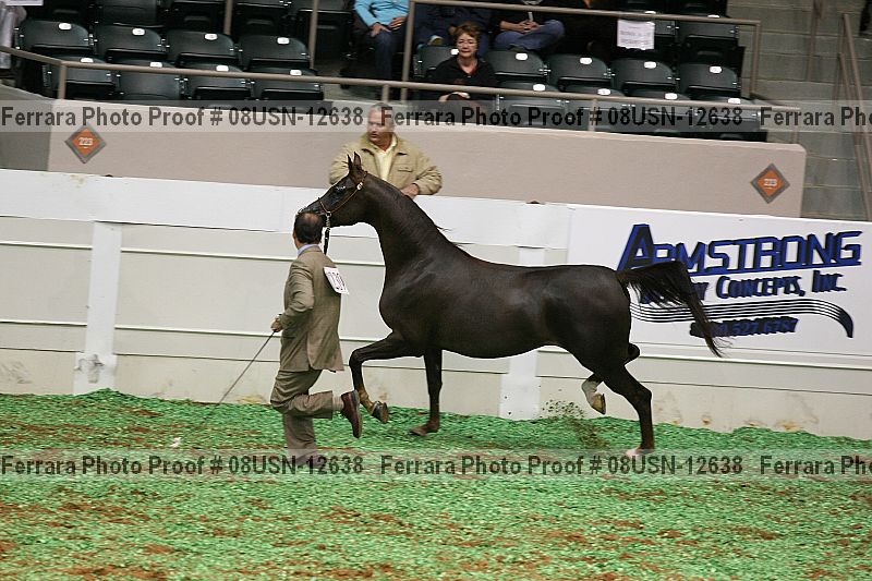 Proof 08usn-12638