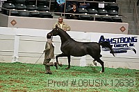 08usn-12638 proof