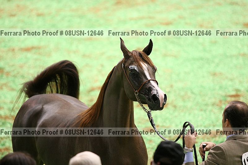 Proof 08usn-12646